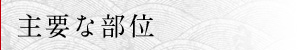 主要な部位